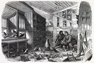 Loft Prints: The interior of a pigeon-loft in Paris, where birds would arrive carrying messages