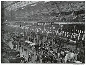 Interior of the Smithfield Club's Annual Show at the Agricultural Hall Islington, London. Photograph showing after the judging was completed and awards won. Date: late 1890s
