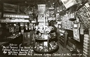 Highway Prints: Interior of Tree House, Redwood, California, USA
