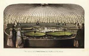 The interior of the Victoria Hothouse in