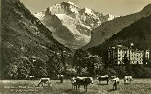 Interlaken and the Jungfrau, Bern, Switzerland
