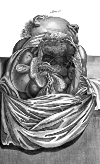 Images Dated 19th October 2011: Internal Organs 18th C