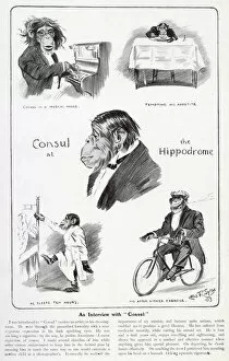 Consul Collection: An Interview with Consul the Chimpanzee