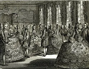 Aristocratic Collection: Introducing a Lady to Her Majesty Queen Charlotte