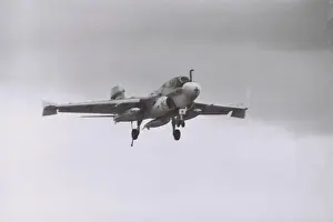 A 6e Prints: Intruder