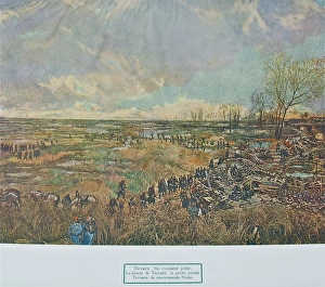 Images Dated 14th July 2012: Inundated polder, Tervaete, Belgium, WW1