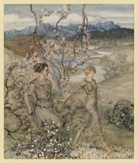 Transformed Collection: Iollan & Tuirenfionn