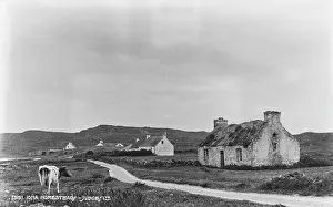 Serenity Prints: Iona Homestead
