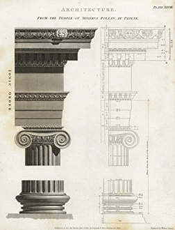 Abrahamrees Gallery: Ionic column from the temple of Minerva Polias at Priene