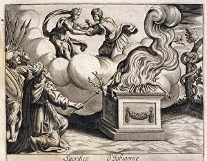 Deer Collection: Iphigenia Not Sacrificed