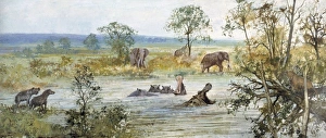 Ipswichian interglacial Ipswichian interglacial