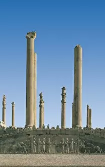 Achaemenids Collection: Iran. Persepolis. Apadana
