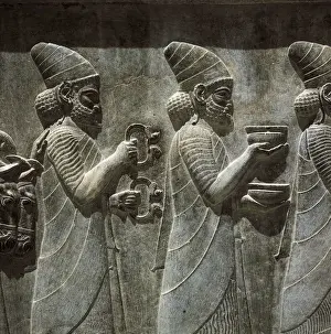 Delivering Prints: IRAN. Persepolis. Apadana or Audience Hall of Darius