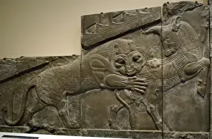 Iran. Persepolis. Palace of Darius I. Relief of the Apadana