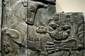 Iran. Persepolis. Palace of Darius I. Relief of the Apadana