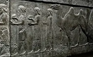 Iran. Persepolis. Palace of Darius I. Relief of the Apadana