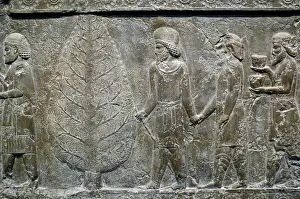 Iran. Persepolis. Palace of Darius I. Relief of the Apadana