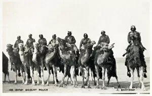 Iraqi Gallery: Iraqi Desert Police, mounted on camels