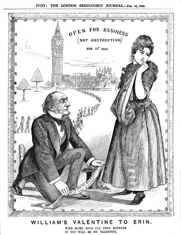 Images Dated 18th July 2017: Ireland / Cartoon 1890