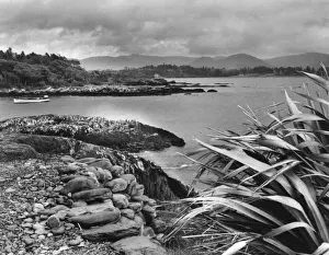Shores Prints: Ireland / Kenmare Bay