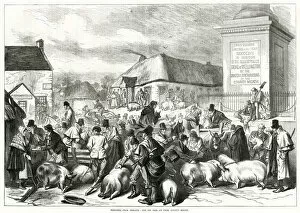 Images Dated 1st May 2019: Ireland pig fair at Trim, County Meath 1870