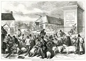 Farmers Prints: Ireland pig fair at Trim, County Meath 1870