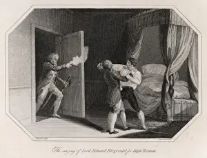 Treason Prints: Ireland / Seizing Fzgerald