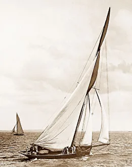 Irex Racing Yacht