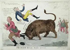 The Irish bull broke loose