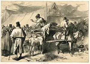 Calves Prints: An Irish Fair 1870