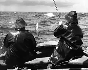 Wexford Prints: Irish Fishing Boat