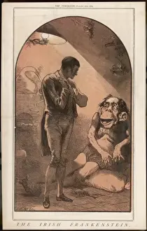 The Irish Frankenstein