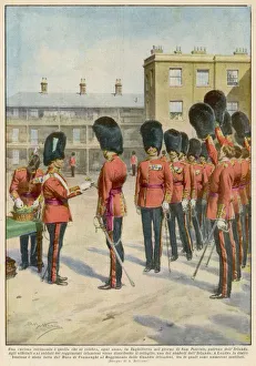 Presents Collection: Irish Guards Shamrock