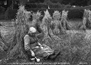 Stack Prints: An Irish Harvesters Dinner, Potatoes and Buttermilk