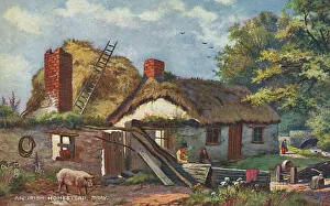 Cottage Collection: Irish Homestead - Bray, Ireland