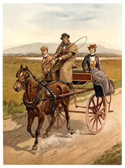 Irish jaunting car