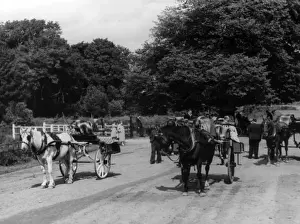 Irish Jaunting Cars