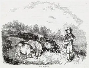 Pork Prints: Irish pig drover at work
