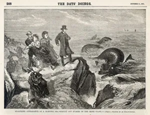 Reaction Collection: Irish sea serpent off Kilkee, Ireland
