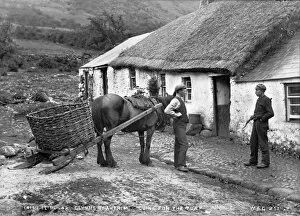 Cottage Collection: Irish Slide Car, Glynns of Antrim, Going for the Turf