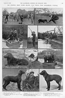 Images Dated 20th November 2018: The Irish water spaniel club trials, 1909