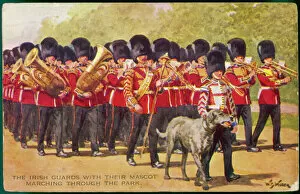 Regimental Gallery: Irish Wolfhound Mascot