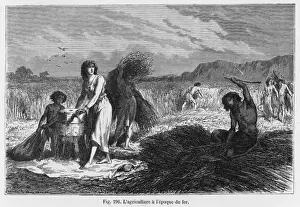Figuier Prints: Iron Age Farming / Figuier