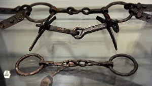 Images Dated 10th February 2013: Iron Age. Period of Migrations. 5th-4th centuries AD. Object