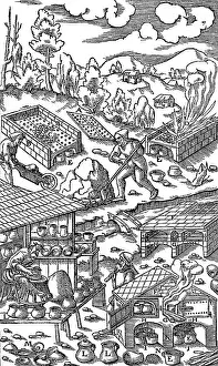 Iron Processing / 1556