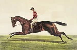 Leamington Prints: Iroquois: by imp. Leamington, dam Maggie B. B. by Australian