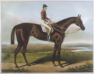 Iroquois Prints: Iroquois (Racehorse)