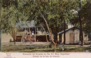 Island cabins, Rosario de Santa Fe, Argentina, South America