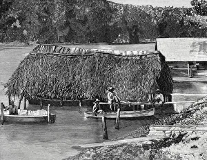 Antilles Prints: Island of Cuba, Santiago de Cuba. Fishermen from Cayo Smith