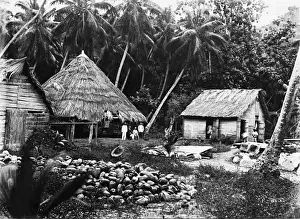Island of Curieuse, Seychelles, Indian Ocean